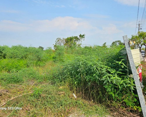 台南麻豆建地除草, 台南麻豆建地割草, 台南麻豆環境清理, 台南麻豆除草景觀工程, 台南麻豆代客除草, 台南麻豆除(割)草作業, 台南麻豆割草, 台南麻豆除草, 台南麻豆割草整地, 
                        台南麻豆除草整地, 台南麻豆空地除草價格, 台南麻豆除草工, 台南麻豆整地除草費用, 台南麻豆空地割草, 台南麻豆整地除草, 台南麻豆空地除草