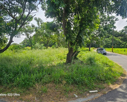 台南建地除草, 台南建地割草, 台南環境清理, 台南除草景觀工程, 台南代客除草, 台南除(割)草作業, 台南割草, 台南除草, 台南割草整地, 
                        台南除草整地, 台南空地除草價格, 台南除草工, 台南整地除草費用, 台南空地割草, 台南整地除草, 台南空地除草