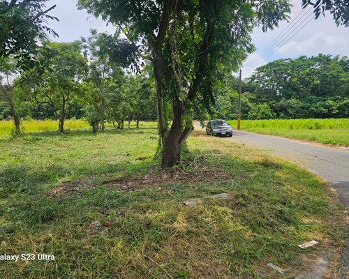 台南建地除草, 台南建地割草, 台南環境清理, 台南除草景觀工程, 台南代客除草, 台南除(割)草作業, 台南割草, 台南除草, 台南割草整地, 
                        台南除草整地, 台南空地除草價格, 台南除草工, 台南整地除草費用, 台南空地割草, 台南整地除草, 台南空地除草