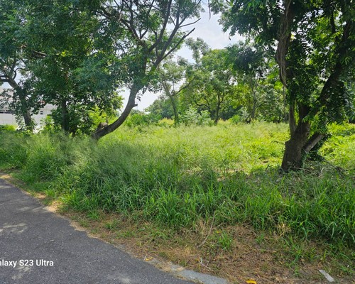 台南佳里建地除草, 台南佳里建地割草, 台南佳里環境清理, 台南佳里除草景觀工程, 台南佳里代客除草, 台南佳里除(割)草作業, 台南佳里割草, 台南佳里除草, 台南佳里割草整地, 
                        台南佳里除草整地, 台南佳里空地除草價格, 台南佳里除草工, 台南佳里整地除草費用, 台南佳里空地割草, 台南佳里整地除草, 台南佳里空地除草