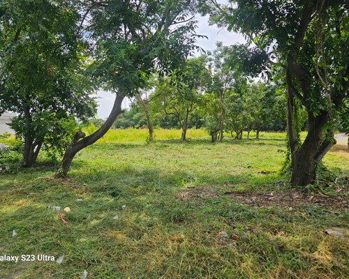 台南佳里建地除草, 台南佳里建地割草, 台南佳里環境清理, 台南佳里除草景觀工程, 台南佳里代客除草, 台南佳里除(割)草作業, 台南佳里割草, 台南佳里除草, 台南佳里割草整地, 
                        台南佳里除草整地, 台南佳里空地除草價格, 台南佳里除草工, 台南佳里整地除草費用, 台南佳里空地割草, 台南佳里整地除草, 台南佳里空地除草