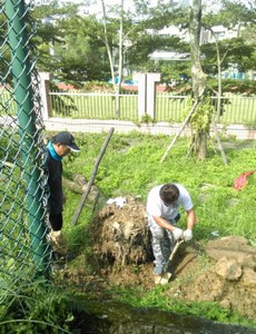 安平綠化工程推薦, 安平綠化工程