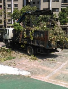 台南安平區庭園設計施工